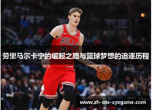 劳里马尔卡宁的崛起之路与篮球梦想的追逐历程